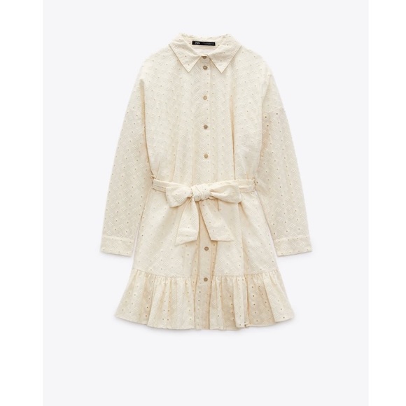 Zara Woman Cutwork Dress - Picture 7 of 7